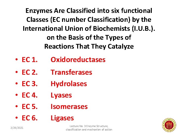 Enzymes Are Classified into six functional Classes (EC number Classification) by the International Union