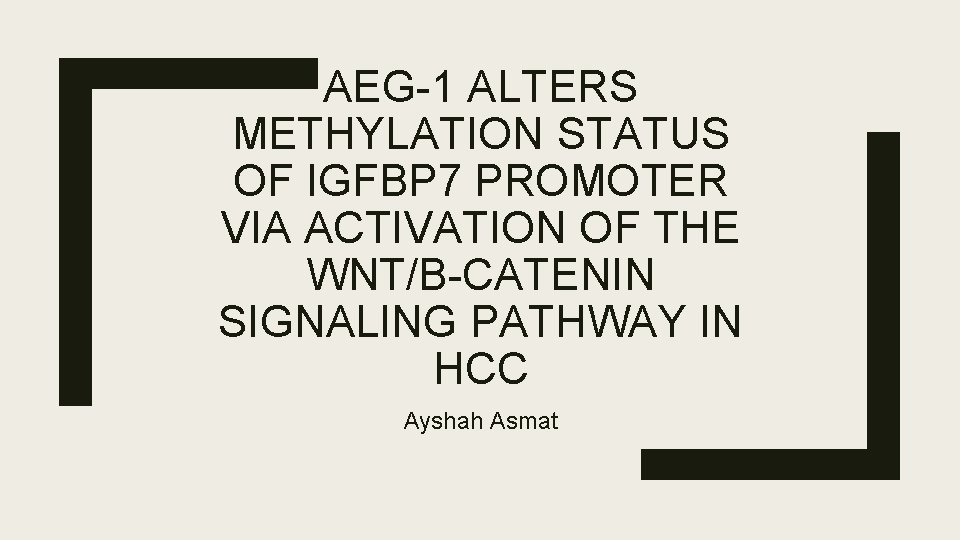 AEG-1 ALTERS METHYLATION STATUS OF IGFBP 7 PROMOTER VIA ACTIVATION OF THE WNT/Β-CATENIN SIGNALING