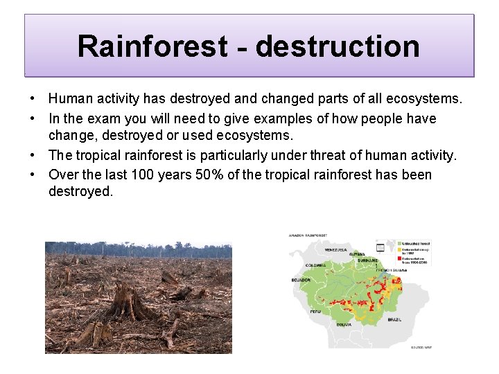 Rainforest - destruction • Human activity has destroyed and changed parts of all ecosystems.