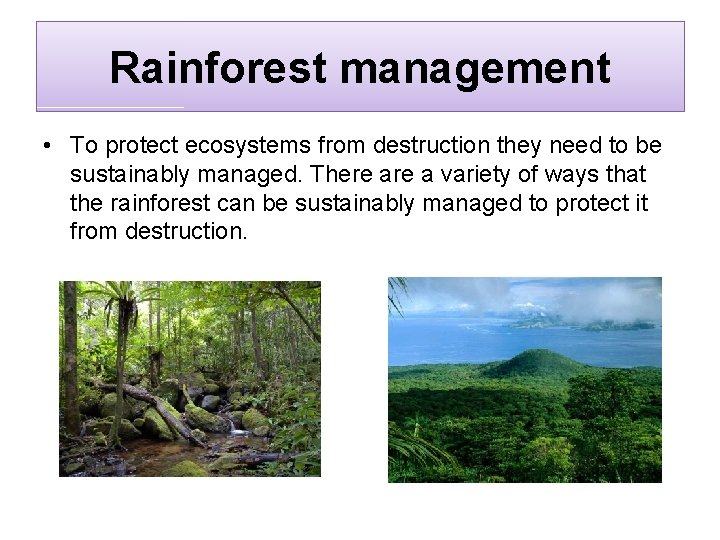 Rainforest management • To protect ecosystems from destruction they need to be sustainably managed.