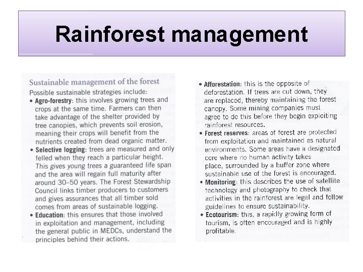 Rainforest management 