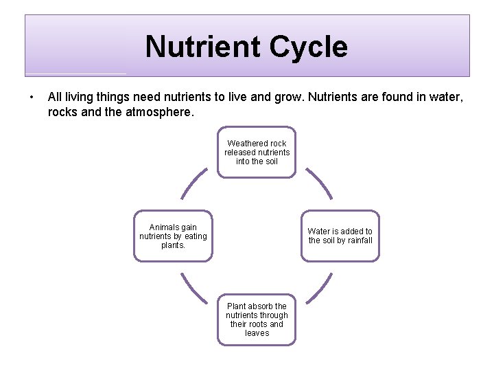 Nutrient Cycle • All living things need nutrients to live and grow. Nutrients are