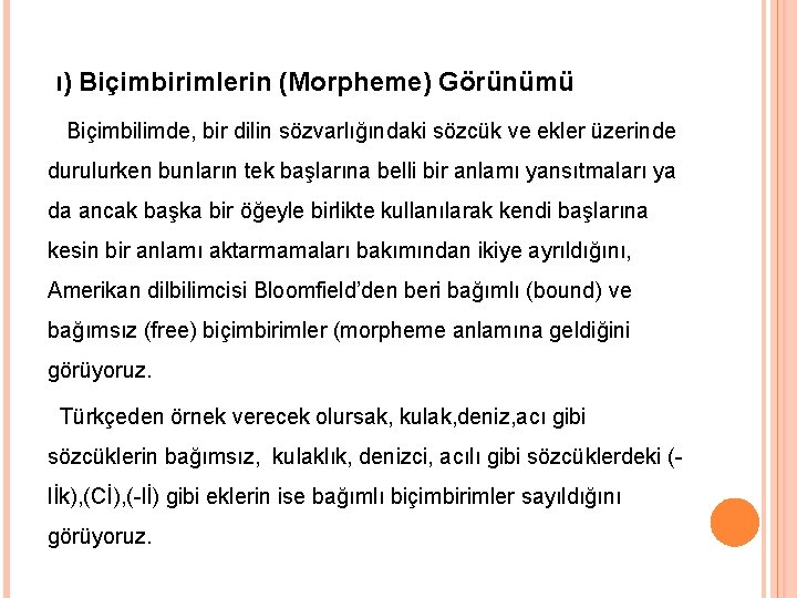  ı) Biçimbirimlerin (Morpheme) Görünümü Biçimbilimde, bir dilin sözvarlığındaki sözcük ve ekler üzerinde durulurken