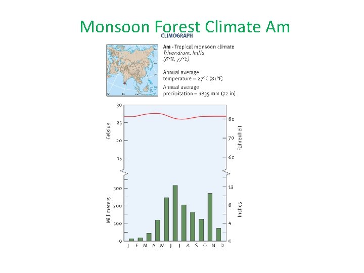 Monsoon Forest Climate Am 