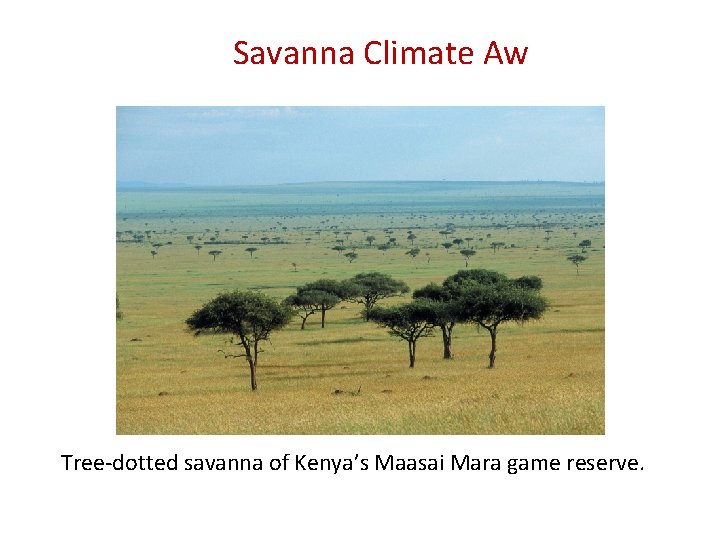 Savanna Climate Aw Tree-dotted savanna of Kenya’s Maasai Mara game reserve. 