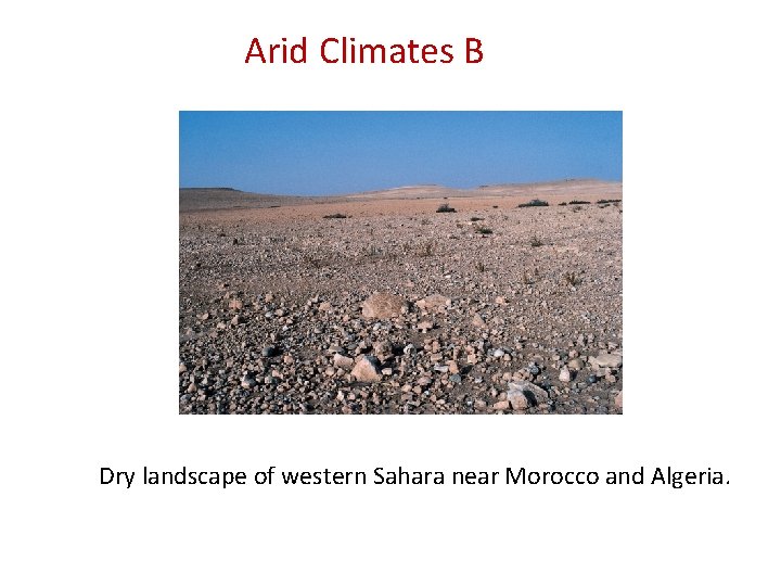 Arid Climates B Dry landscape of western Sahara near Morocco and Algeria. 