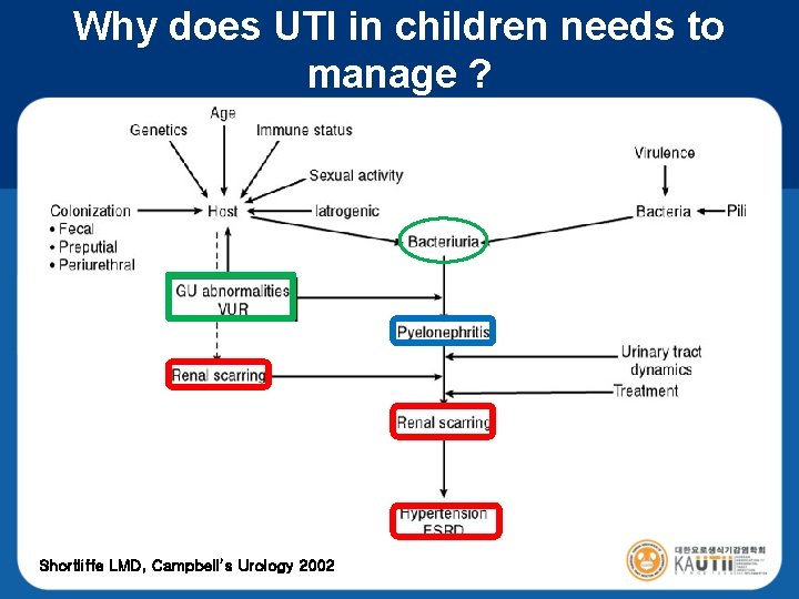 Why does UTI in children needs to manage ? Shortliffe LMD, Campbell’s Urology 2002