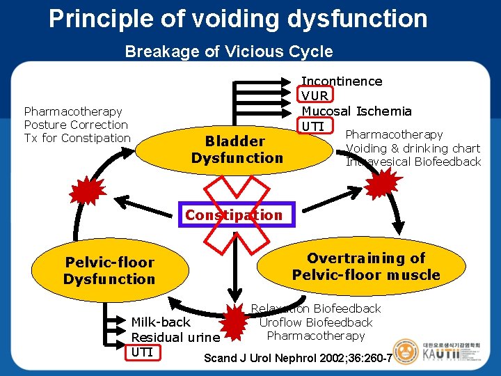 Principle of voiding dysfunction Breakage of Vicious Cycle Pharmacotherapy Posture Correction Tx for Constipation