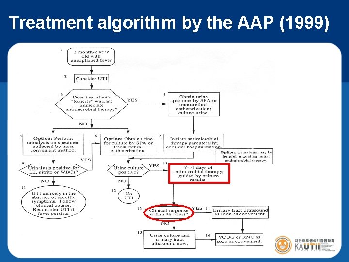 Treatment algorithm by the AAP (1999) 