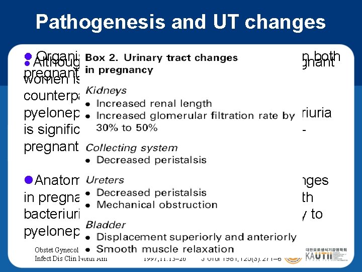 Pathogenesis and UT changes l Organisms bacteriuria are similar in both thecausing incidence of