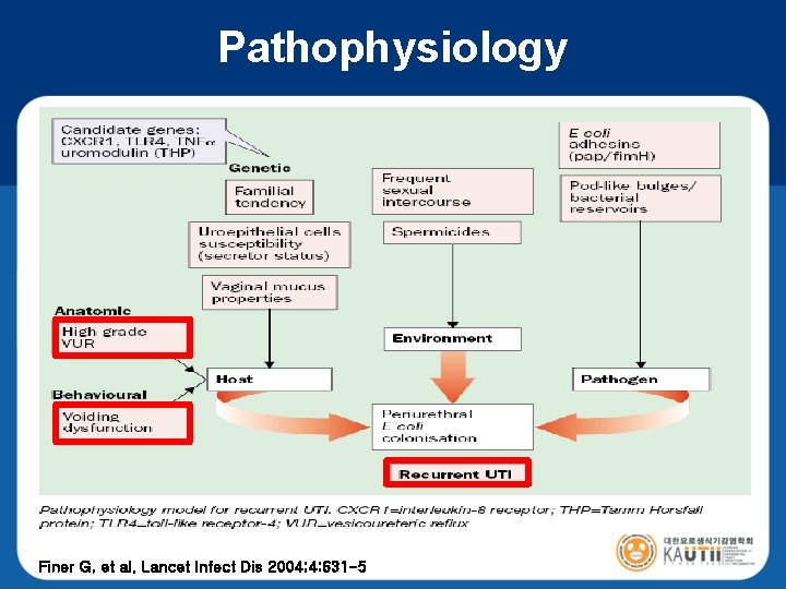 Pathophysiology Finer G, et al. Lancet Infect Dis 2004; 4: 631 -5 