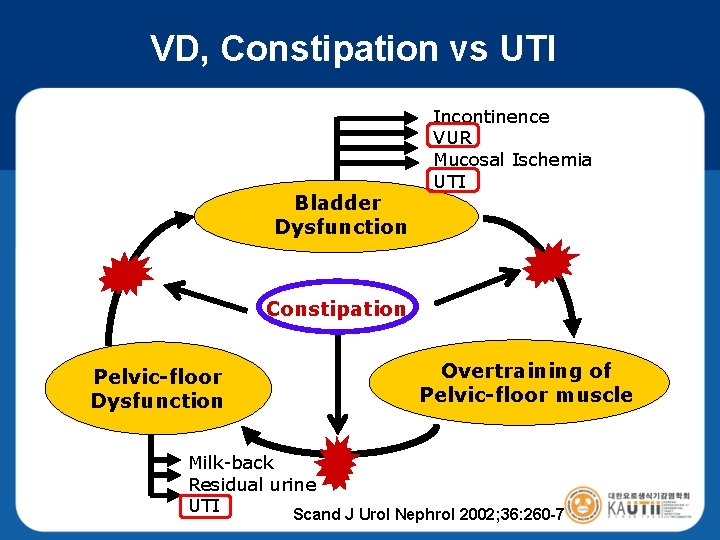 VD, Constipation vs UTI Bladder Dysfunction Incontinence VUR Mucosal Ischemia UTI Constipation Pelvic-floor Dysfunction