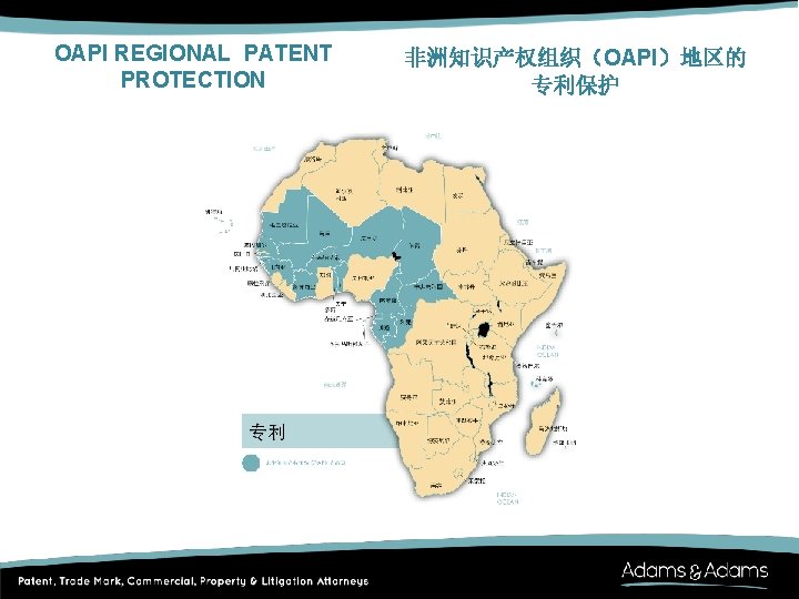OAPI REGIONAL PATENT PROTECTION 非洲知识产权组织（OAPI）地区的 专利保护 