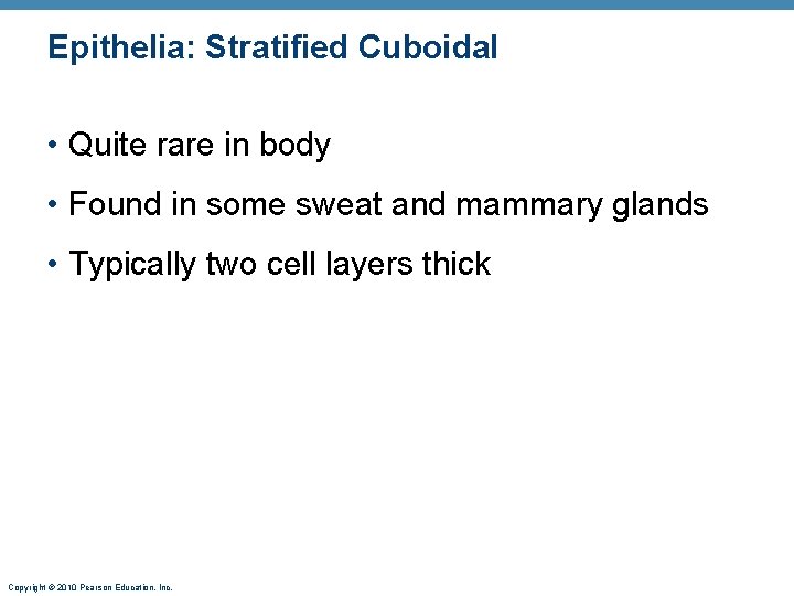 Epithelia: Stratified Cuboidal • Quite rare in body • Found in some sweat and Epithelia: Stratified Cuboidal • Quite rare in body • Found in some sweat and