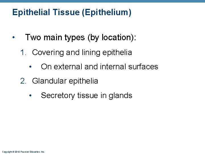 Epithelial Tissue (Epithelium) • Two main types (by location): 1. Covering and lining epithelia Epithelial Tissue (Epithelium) • Two main types (by location): 1. Covering and lining epithelia
