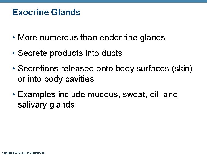 Exocrine Glands • More numerous than endocrine glands • Secrete products into ducts • Exocrine Glands • More numerous than endocrine glands • Secrete products into ducts •