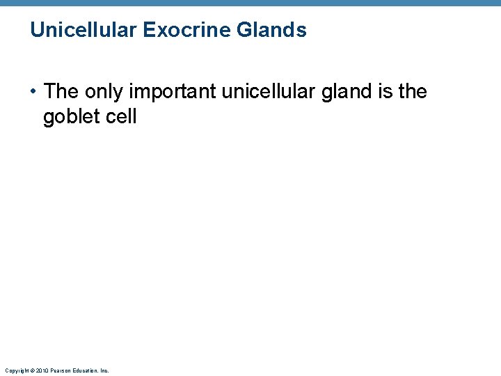 Unicellular Exocrine Glands • The only important unicellular gland is the goblet cell Copyright Unicellular Exocrine Glands • The only important unicellular gland is the goblet cell Copyright