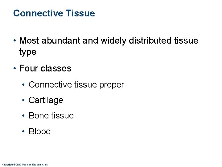 Connective Tissue • Most abundant and widely distributed tissue type • Four classes • Connective Tissue • Most abundant and widely distributed tissue type • Four classes •