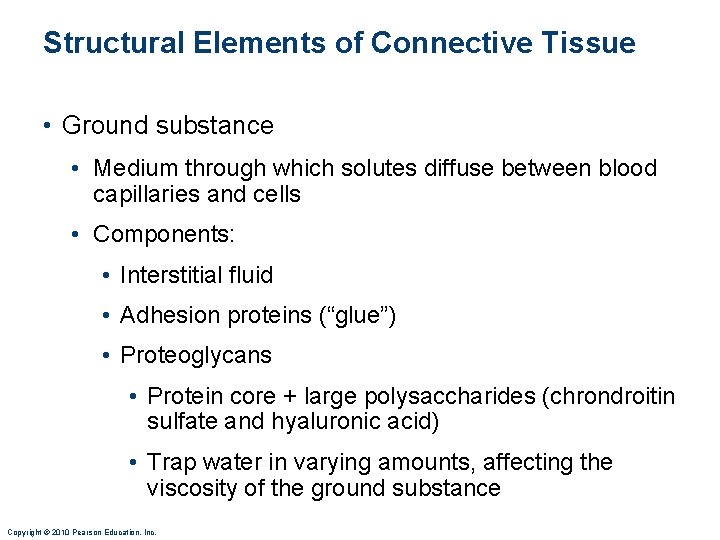 Structural Elements of Connective Tissue • Ground substance • Medium through which solutes diffuse Structural Elements of Connective Tissue • Ground substance • Medium through which solutes diffuse