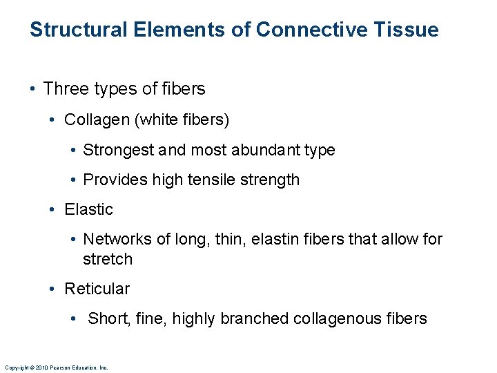 Structural Elements of Connective Tissue • Three types of fibers • Collagen (white fibers) Structural Elements of Connective Tissue • Three types of fibers • Collagen (white fibers)