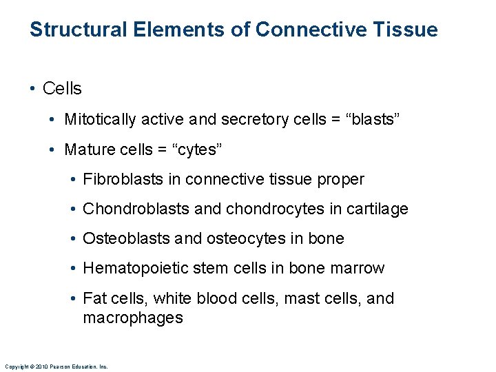Structural Elements of Connective Tissue • Cells • Mitotically active and secretory cells = Structural Elements of Connective Tissue • Cells • Mitotically active and secretory cells =