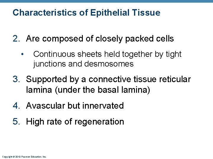 Characteristics of Epithelial Tissue 2. Are composed of closely packed cells • Continuous sheets Characteristics of Epithelial Tissue 2. Are composed of closely packed cells • Continuous sheets