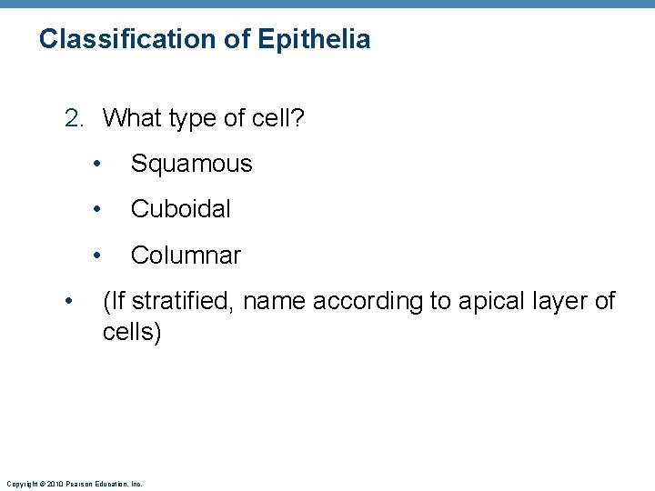 Classification of Epithelia 2. What type of cell? • • Squamous • Cuboidal • Classification of Epithelia 2. What type of cell? • • Squamous • Cuboidal •
