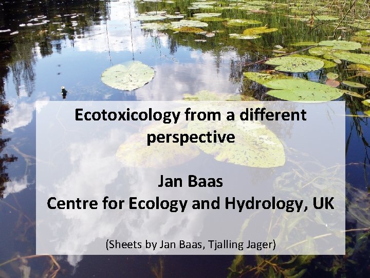 Ecotoxicology from a different perspective Jan Baas Centre for Ecology and Hydrology, UK (Sheets
