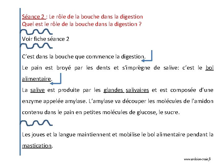 Séance 2 : Le rôle de la bouche dans la digestion Quel est le