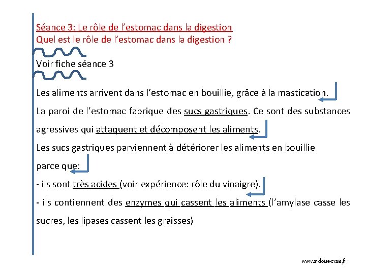 Séance 3: Le rôle de l’estomac dans la digestion Quel est le rôle de