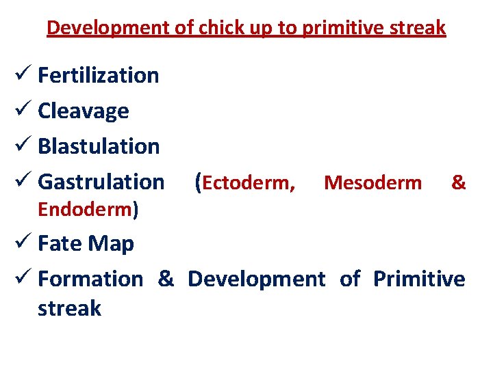 Development of chick up to primitive streak ü Fertilization ü Cleavage ü Blastulation ü