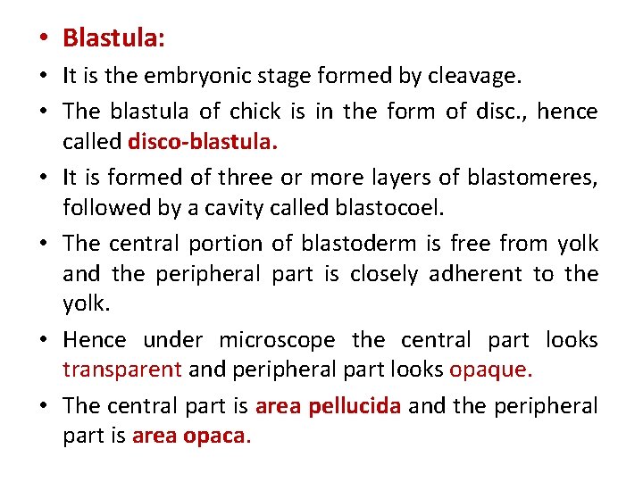  • Blastula: • It is the embryonic stage formed by cleavage. • The