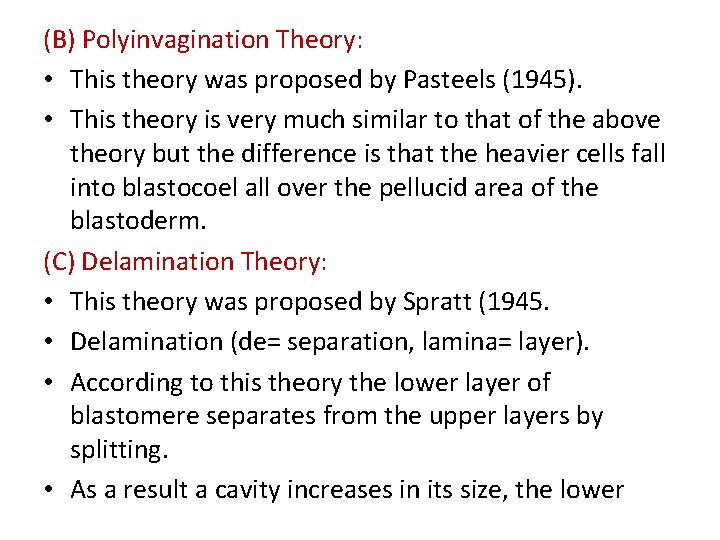 (B) Polyinvagination Theory: • This theory was proposed by Pasteels (1945). • This theory