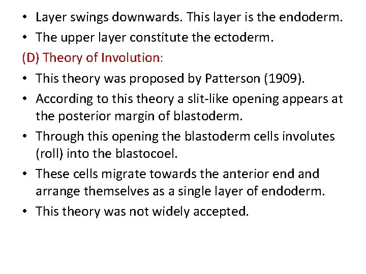  • Layer swings downwards. This layer is the endoderm. • The upper layer
