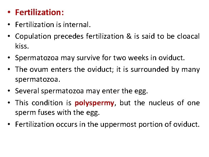  • Fertilization: • Fertilization is internal. • Copulation precedes fertilization & is said