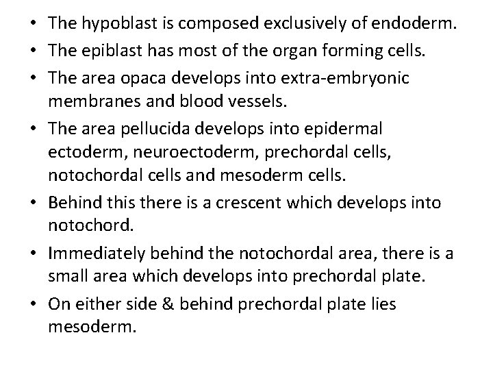  • The hypoblast is composed exclusively of endoderm. • The epiblast has most