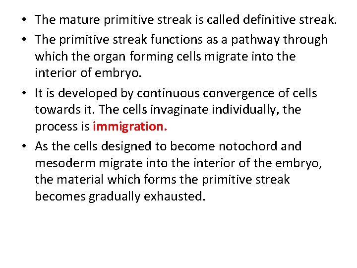  • The mature primitive streak is called definitive streak. • The primitive streak