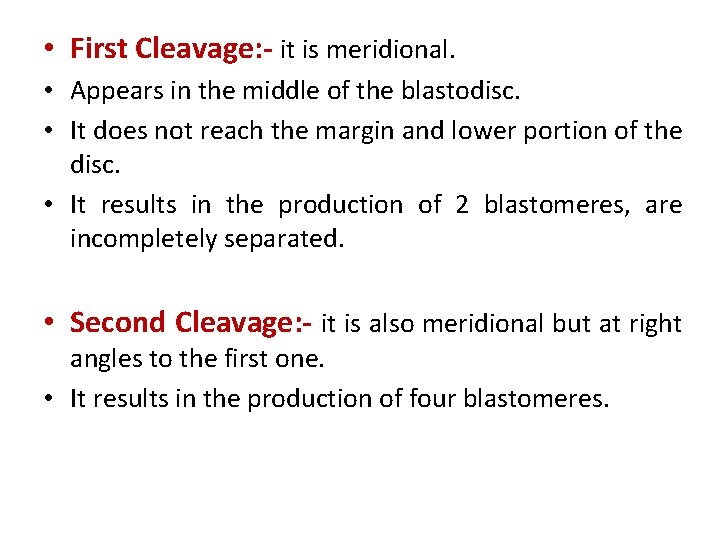  • First Cleavage: - it is meridional. • Appears in the middle of