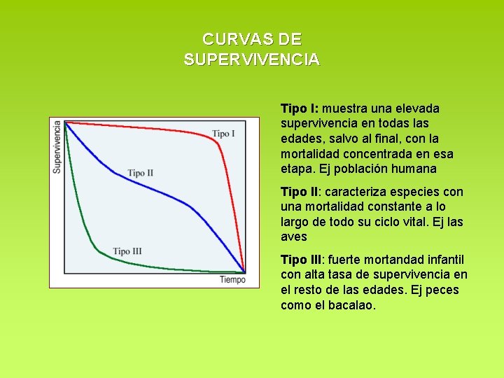 CURVAS DE SUPERVIVENCIA Tipo I: muestra una elevada supervivencia en todas las edades, salvo CURVAS DE SUPERVIVENCIA Tipo I: muestra una elevada supervivencia en todas las edades, salvo