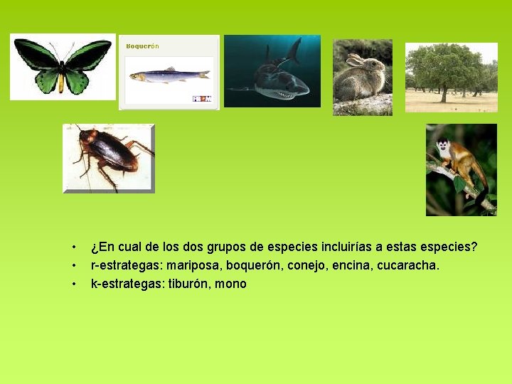 • • • ¿En cual de los dos grupos de especies incluirías a • • • ¿En cual de los dos grupos de especies incluirías a