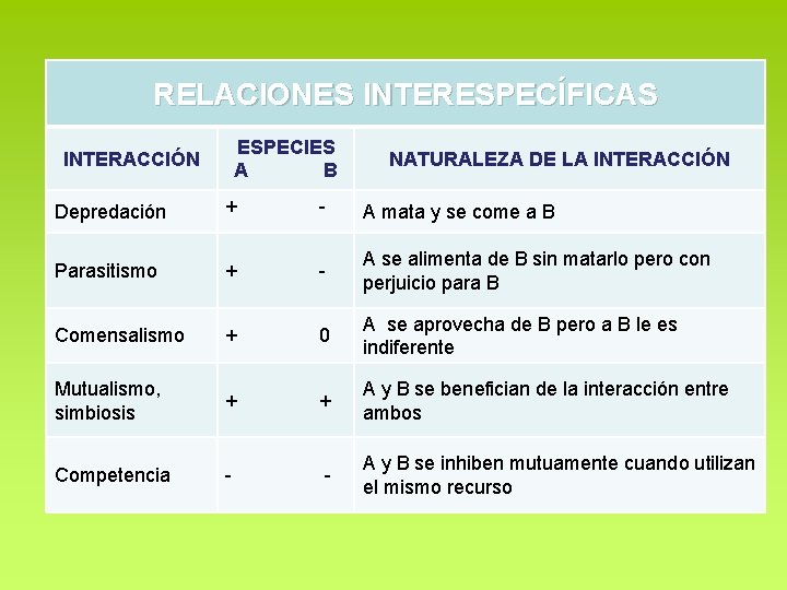 RELACIONES INTERESPECÍFICAS INTERACCIÓN ESPECIES A B NATURALEZA DE LA INTERACCIÓN Depredación + - A RELACIONES INTERESPECÍFICAS INTERACCIÓN ESPECIES A B NATURALEZA DE LA INTERACCIÓN Depredación + - A