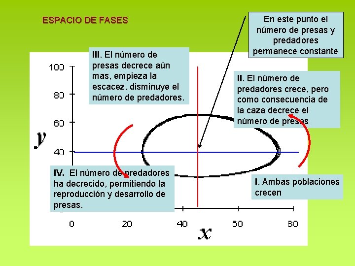 ESPACIO DE FASES III. El número de presas decrece aún mas, empieza la escacez, ESPACIO DE FASES III. El número de presas decrece aún mas, empieza la escacez,