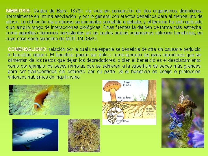 SIMBIOSIS: SIMBIOSIS (Anton de Bary, 1873): «la vida en conjunción de dos organismos disimilares, SIMBIOSIS: SIMBIOSIS (Anton de Bary, 1873): «la vida en conjunción de dos organismos disimilares,