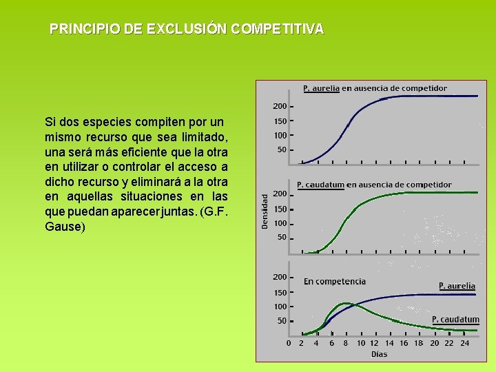 PRINCIPIO DE EXCLUSIÓN COMPETITIVA Si dos especies compiten por un mismo recurso que sea PRINCIPIO DE EXCLUSIÓN COMPETITIVA Si dos especies compiten por un mismo recurso que sea