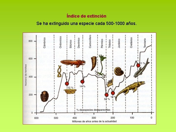 Índice de extinción Se ha extinguido una especie cada 500 -1000 años. Índice de extinción Se ha extinguido una especie cada 500 -1000 años.