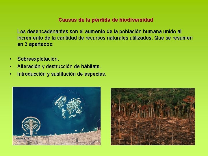 Causas de la pérdida de biodiversidad Los desencadenantes son el aumento de la población Causas de la pérdida de biodiversidad Los desencadenantes son el aumento de la población