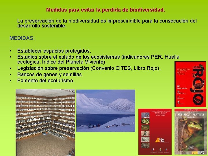 Medidas para evitar la perdida de biodiversidad. La preservación de la biodiversidad es imprescindible Medidas para evitar la perdida de biodiversidad. La preservación de la biodiversidad es imprescindible
