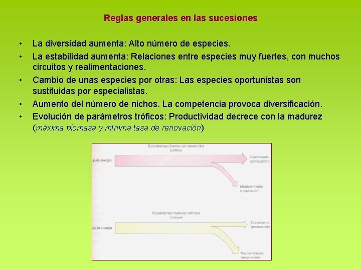 Reglas generales en las sucesiones • • • La diversidad aumenta: Alto número de Reglas generales en las sucesiones • • • La diversidad aumenta: Alto número de