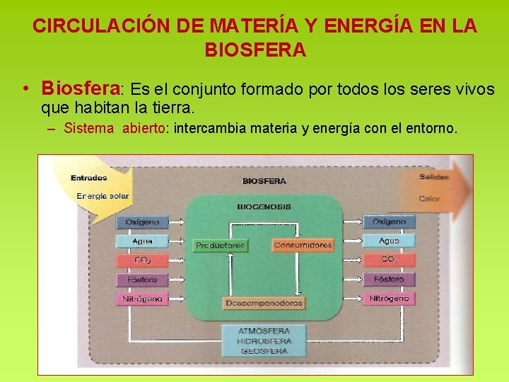 CIRCULACIÓN DE MATERÍA Y ENERGÍA EN LA BIOSFERA • Biosfera: Es el conjunto formado CIRCULACIÓN DE MATERÍA Y ENERGÍA EN LA BIOSFERA • Biosfera: Es el conjunto formado