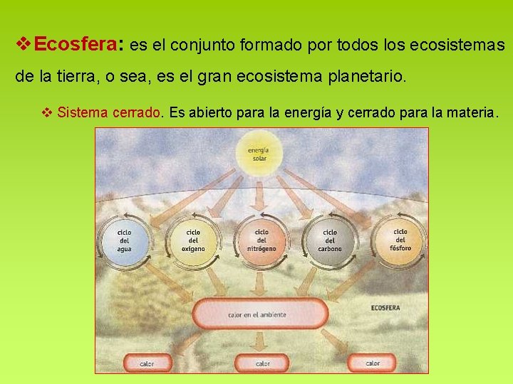 v. Ecosfera: es el conjunto formado por todos los ecosistemas de la tierra, o v. Ecosfera: es el conjunto formado por todos los ecosistemas de la tierra, o